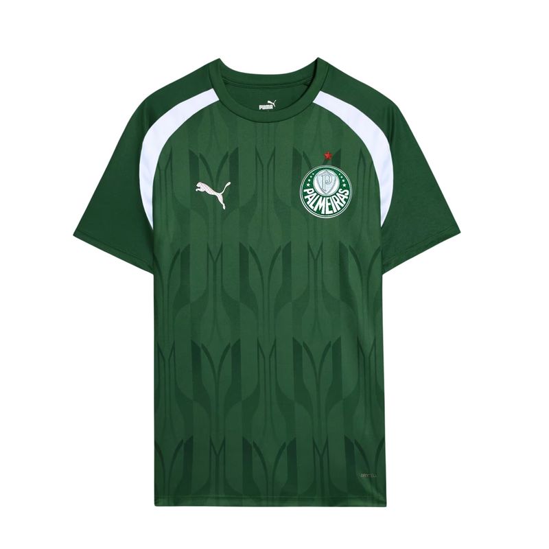 Camisa Palmeiras Pré Jogo 24/25 - Torcedor Masculina - Verde
