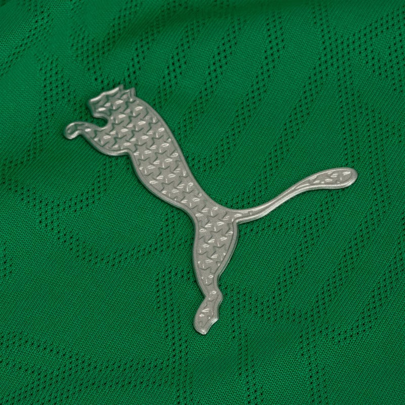 Camisa Palmeiras Treino 25/26 - Torcedor Masculina - Verde