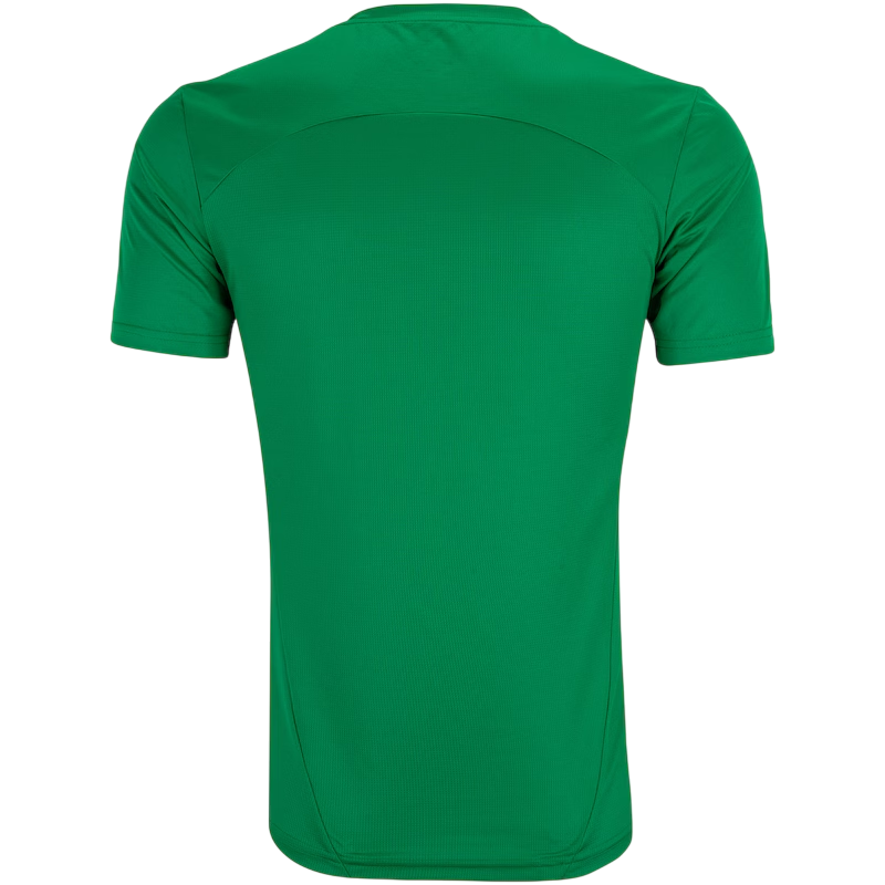 Camisa Palmeiras Treino 25/26 - Torcedor Masculina - Verde